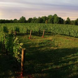 DSC_0032_sunset